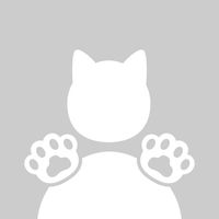 オリジナル楽曲 - 食いしん坊ちゃん