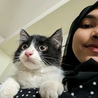 kali33667