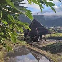 original sound - mayo.yao.edchomang