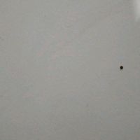 suara asli - Asyila kinanti