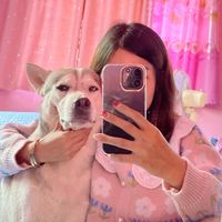 dogsandcat245