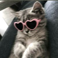 original sound - Kendyy