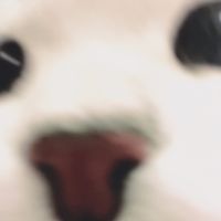 pws_lloveyou1