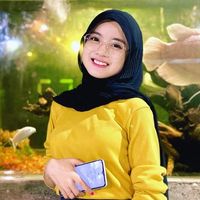 cimbruut_munis