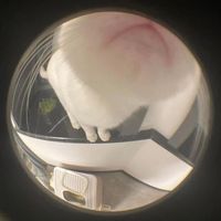 オリジナル楽曲 - fumi