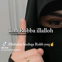asl audio