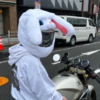 baribariuma