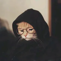 original sound - raiku.edit