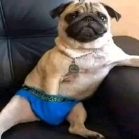 changito_guapo