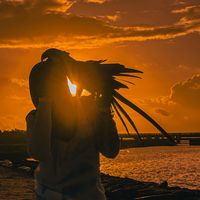 sunset.shades