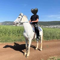 aliotman97