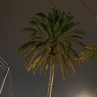 above_68