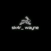 sk4r_wayne