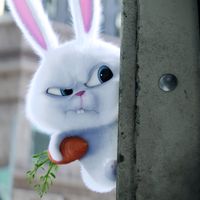 angry_rabbit__