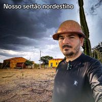 nordeste728