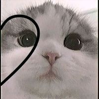 zira._ofc0