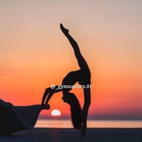 _gymnastics.01