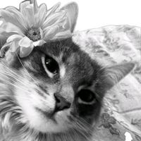 adoro a Kat