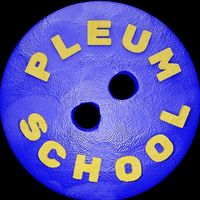 pleumschool