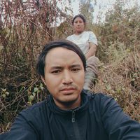 deki.pelmo8