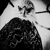 alexander_f_f.f