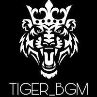 original sound - TIGER_BGM