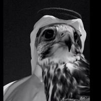 الصوت الأصلي