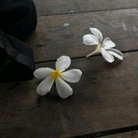 tou564_ccc