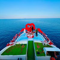 yachtedolphin