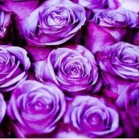 เสียงต้นฉบับ - 💫💐สมปอง ลืมทําการบ้านคับ🌷🌟