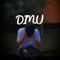 x_dinu_1