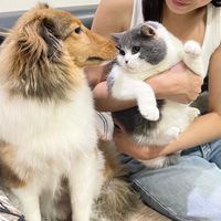 moanduki