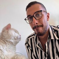 الصوت الأصلي