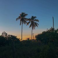 coisinhasdaray04
