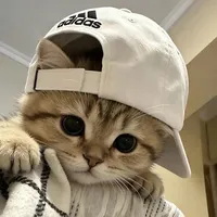 original sound - dolaritsumo