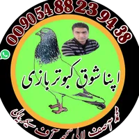 original sound - kabootar_baza