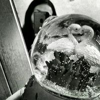 gulrux_02_
