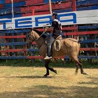 isaac_dehoyos27