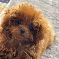 maru.10.maru