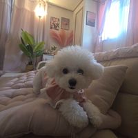 min.min34792