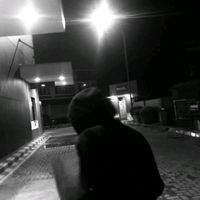 renzydx