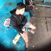 buchinestic03