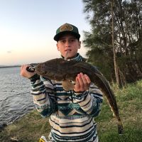 whylie48