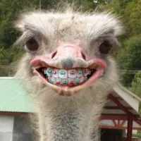 original sound - laugh.chanel