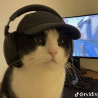 nhạc nền - 🎧🛌