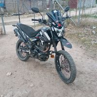 papacito247