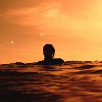 why are famous people using my sound