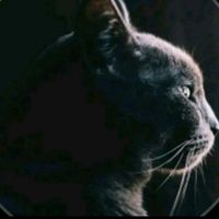 original sound - Lelaki_Tanpa_Nama_V2