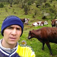 jorgehenao928
