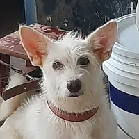 original sound - peach.mei